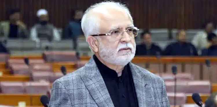 Mahmood Moulvi, IPP, IPP Sindh president