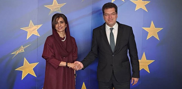 Pakistan, EU agree to collaborate in disaster management