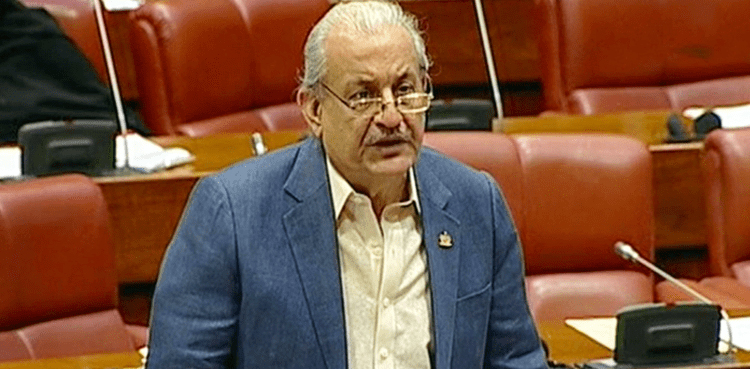 Raza Rabbani, EOBI pension, budget 2023-24