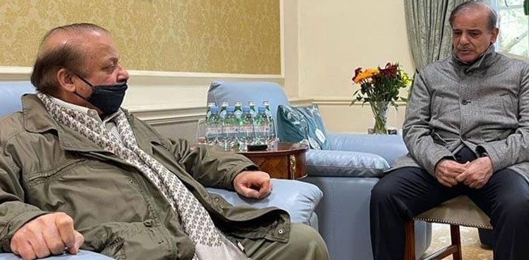 PM Shehbaz Sharif London Visit