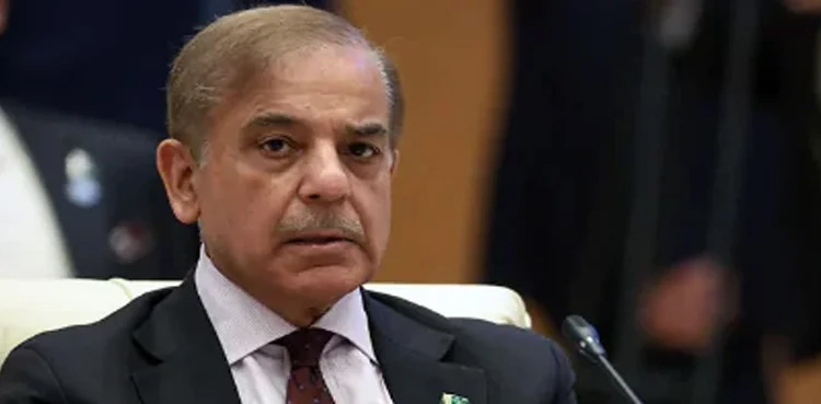 Govt, allocates funds, parliamentarians schemes, financial woes