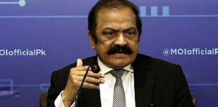 Rana Sanaullah, talks with PTI, seminaries bill