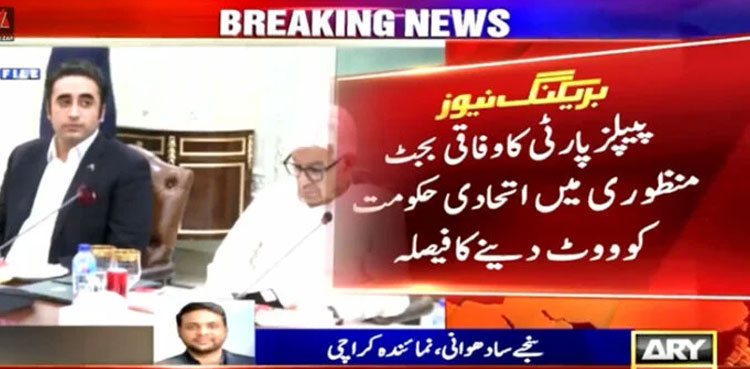 PPP budget, PPP PML-N, ruling coalition differences