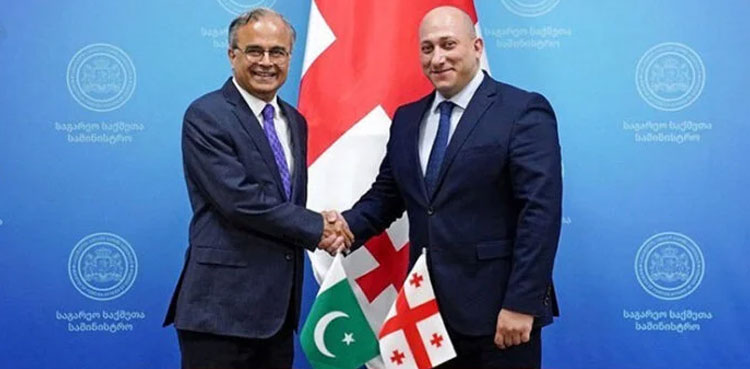 Pakistan, Georgia, cooperation, trade investment, tourism