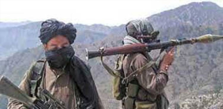 ANP, PM Shehbaz Sharif, resettlement of terrorists in KP