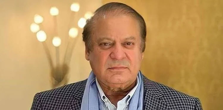 Nawaz Sharif, PDM government, Petrol prices