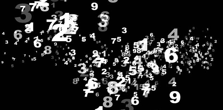 The Secret Lives Of Numbers- Book Review