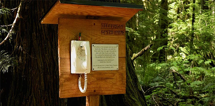 phone olympia dembeck