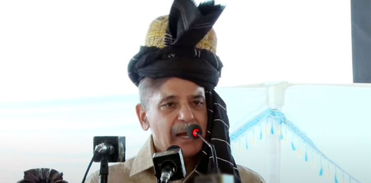 PM Shehbaz Sharif, nation, state institutions, collaboration, country progress