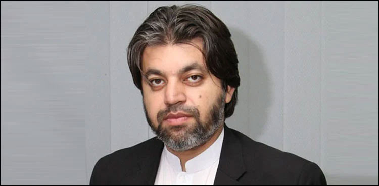 Ali Muhammad Khan, PTI chief, PTI