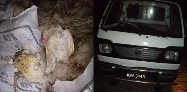 Karachi police, foil attempt, smuggle dead chickens