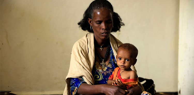 Nigeria, over 600 children die, malnourishment, MSF