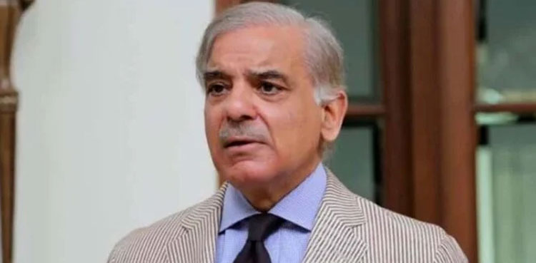 Nawaz Sharif, economic revival, Shehbaz Sharif