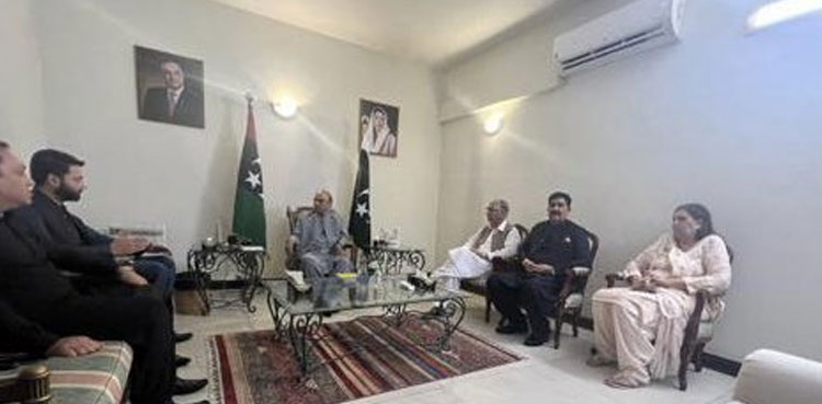 PPP, Asif Ali Zardari, PTI, PML-N