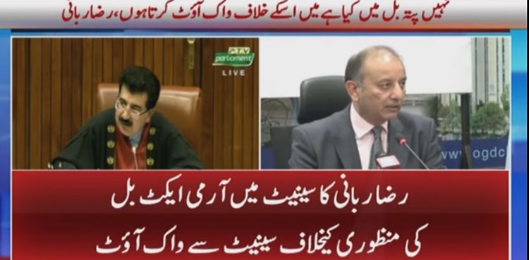 Raza Rabbani