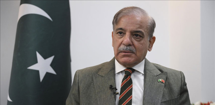 PTI chairman, PM Shehbaz Sharif, corruption