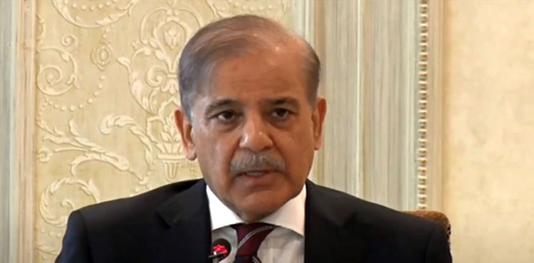 Holy Quran desecration Sweden, Holy Quran Sweden, PM Shehbaz