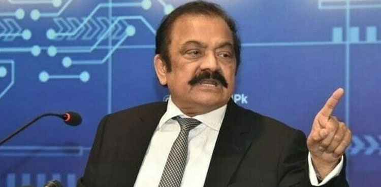 Nawaz Sharif, PML-N intra-party election, Rana Sanaullah