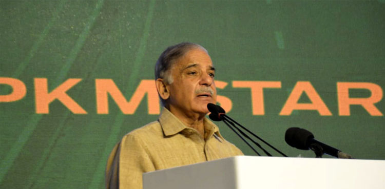 PM Shehbaz, PTI, PML-N, elections