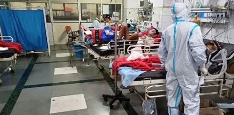 Dead lizard hospital meal, lizard in patients meal