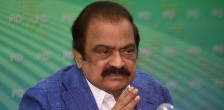 PML-N Punjab, PML-N candidates, Rana Sanaullah