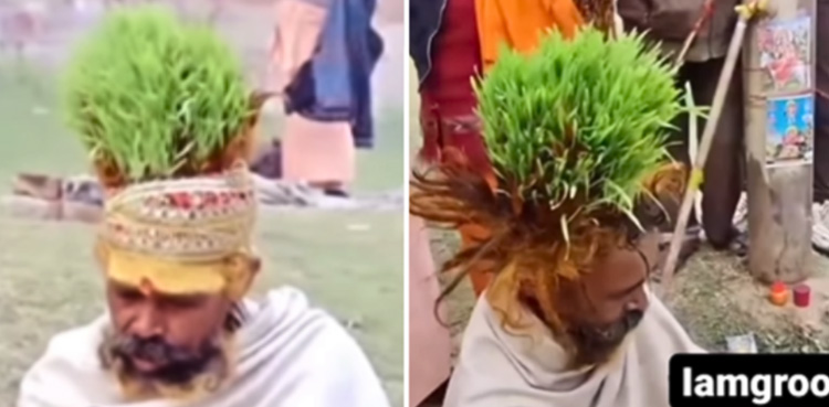 Viral video, Man grows green, plant on head