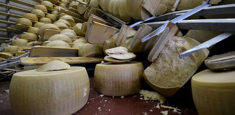 cheese, grana padano, grana padano cheese,