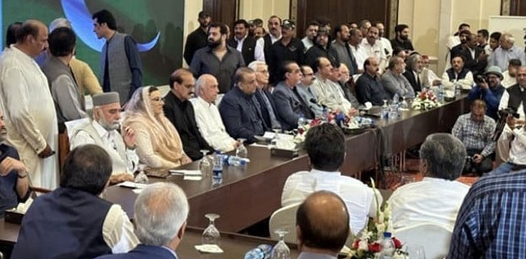 IPP, general elections, 2023 census data