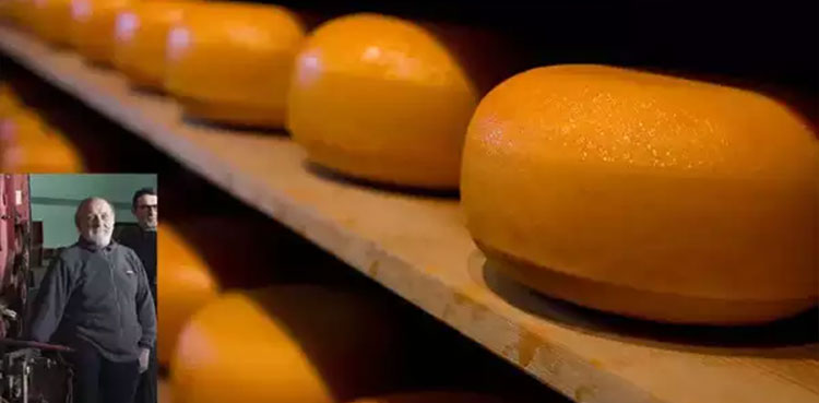 Man crushed to death, cheese wheels