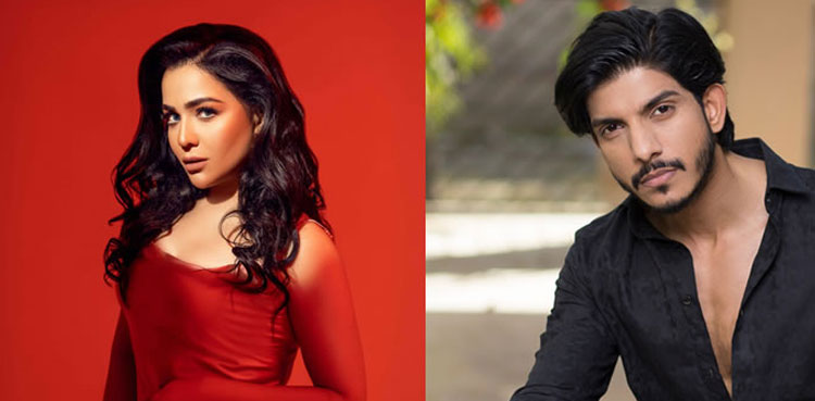 domestic abuse Humaima Malick Mohsin Abbas Haider
