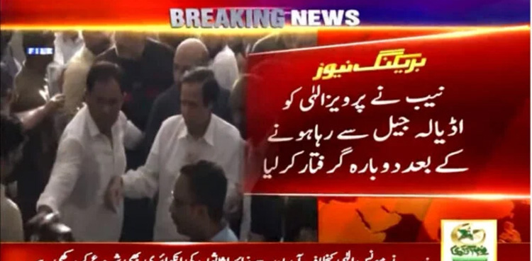 NAB, re-arrests, Pervaiz Elahi, jail release