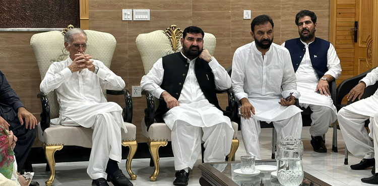 Pervez Khattak, PTI Parliamentarians