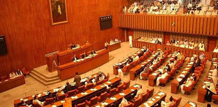 Indus water treaty, Shibli Faraz, Senate