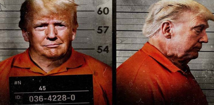 DONALD TRUMP MUG SHOT