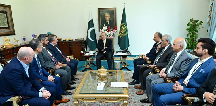 Reko Diq project, Pakistan, Barrick Gold