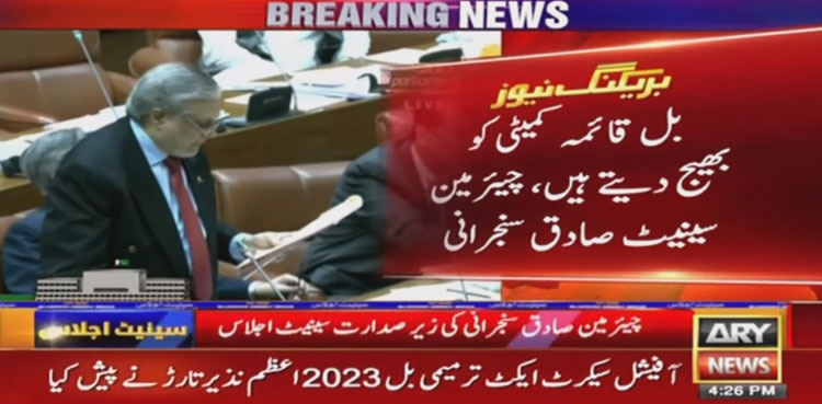 Official Secrets (Amendment) Bill, standing committee, Senate, opposition