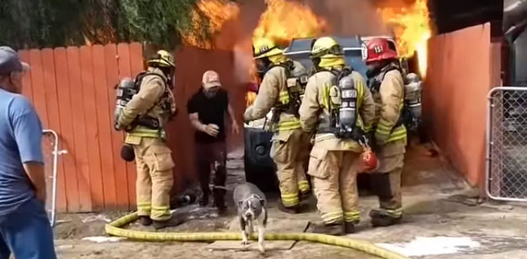 Man saves dog, house on flames, pet dog
