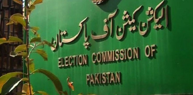 ECP, asset details, caretaker PM Anwarul Haq Kakar