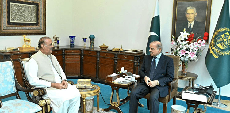 Pakistan caretaker PM, President Alvi, PM Shehbaz, Raja Riaz