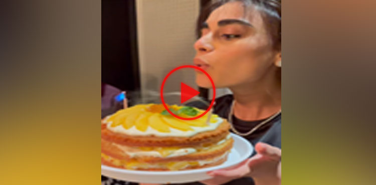 sadaf kanwal, shahroz sabzwari, birthday video, birthday celebrations, viral, video, viral video