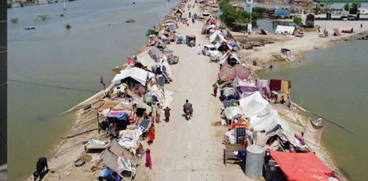 Dipalpur flood victims, flood victims torture cops