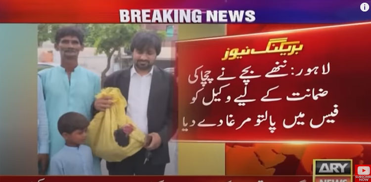 Boy gives pet rooster to lawyer, Mohsin Abbas bail case, viral video, ATC Lahore