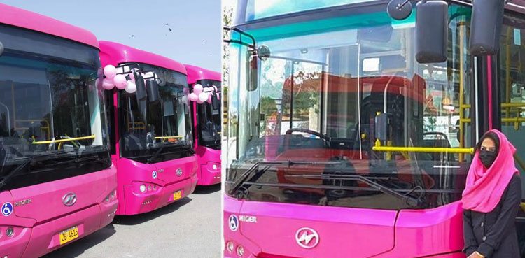 Pink Bus Female Drivers