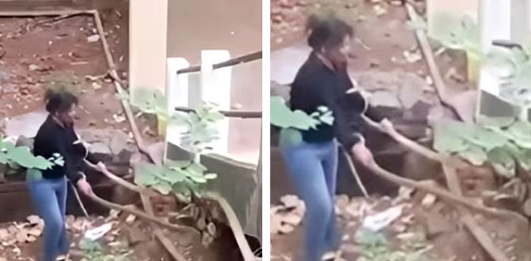Snake Catching Viral Video