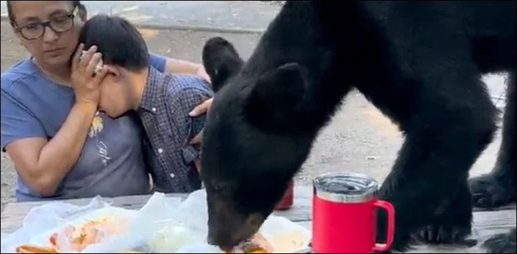 viral video mexico party family bear