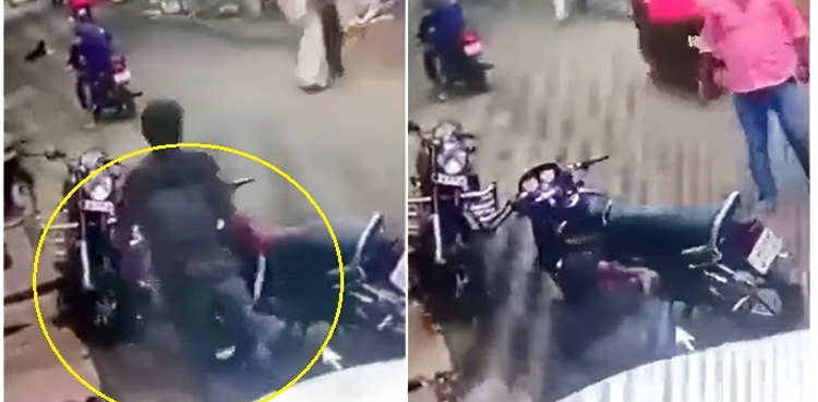 Man dies, Cobra kills man, snake bite, Viral Video