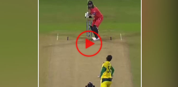 mitchell starc, Starc, Cricket World Cup, cricket world cup 2023, ICC Cricket World Cup, icc cricket world cup 2023, ICC World Cup, ICC World Cup 2023, Australia, Netherlands, Australia Cricket, Cricket Australia, Netherlands, Netherlands Cricket, Cricket Netherlands, World Cup, world cup 2023,