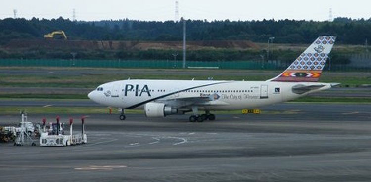 PIA privatisation, Timeline of privitization, Privitization ministry