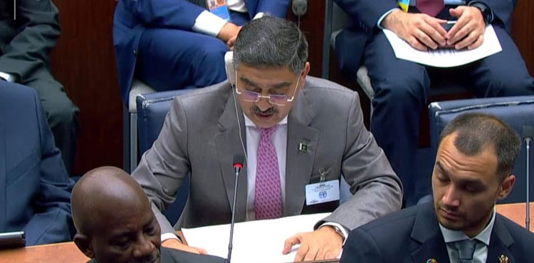 PM Kakar, Pakistan, climate change