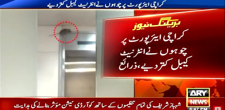 Karachi airport, Mice damaged cable, Internet cable